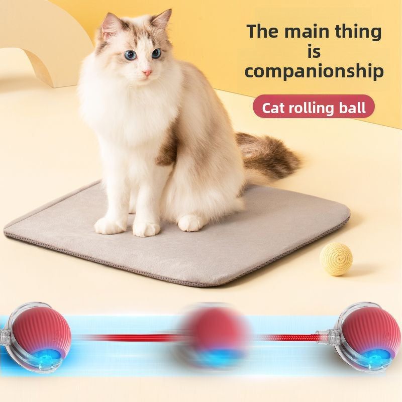 Cat teaser toy ball