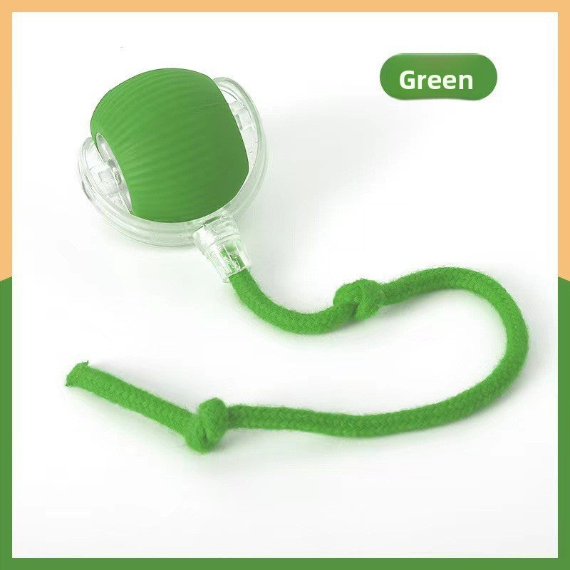 Cat teaser toy ball