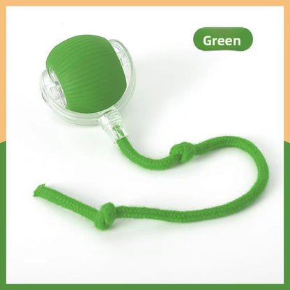 Cat teaser toy ball