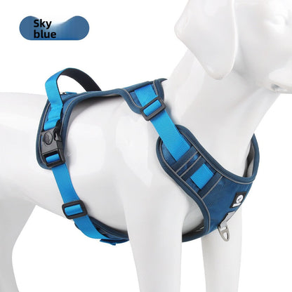 Pet Leash