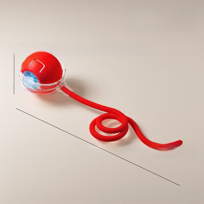 Cat teaser toy ball