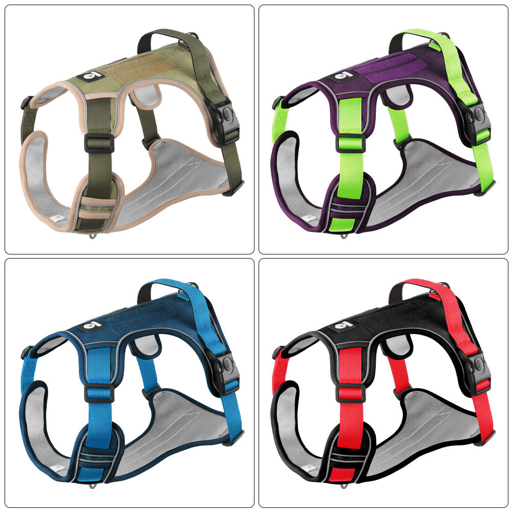 Pet Leash