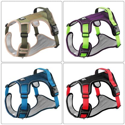 Pet Leash