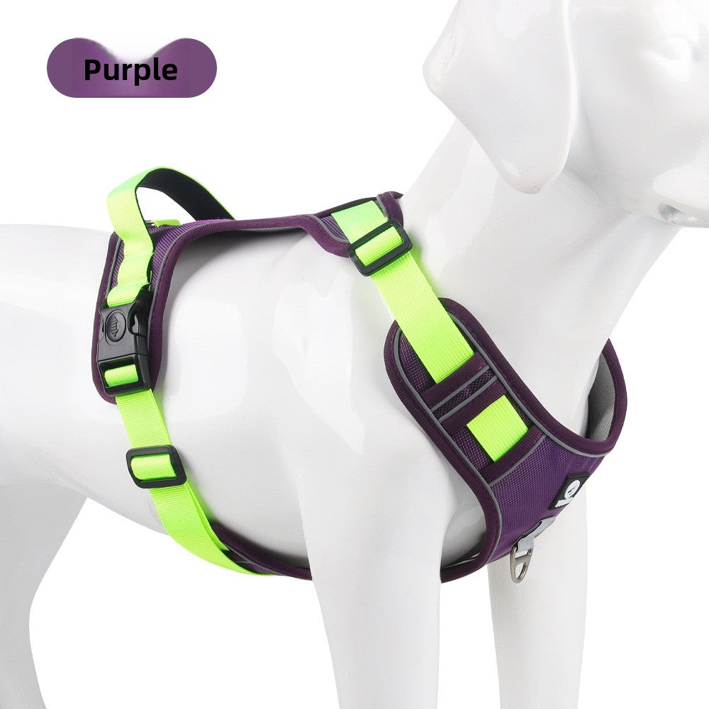 Pet Leash
