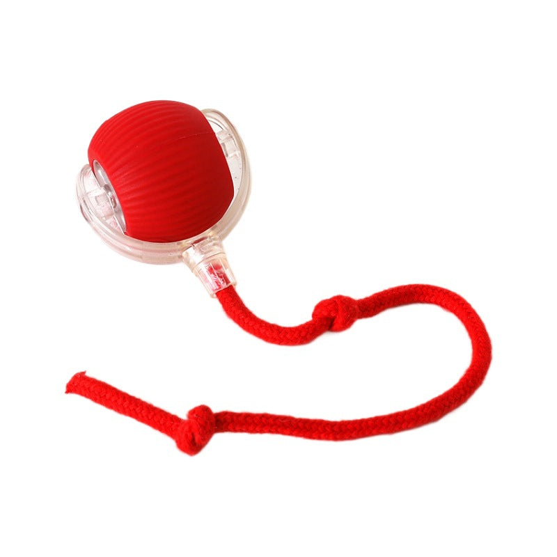 Cat teaser toy ball