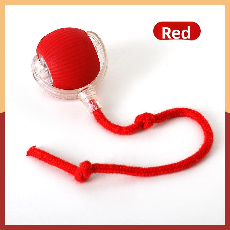 Cat teaser toy ball
