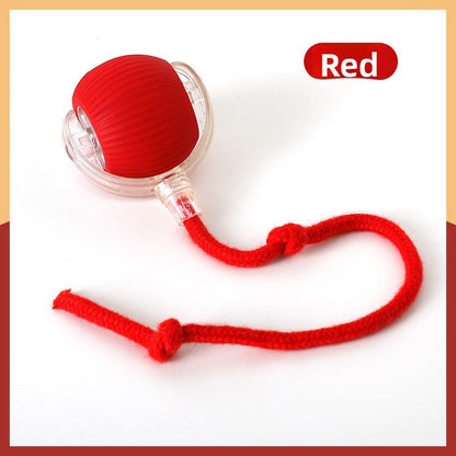 Cat teaser toy ball