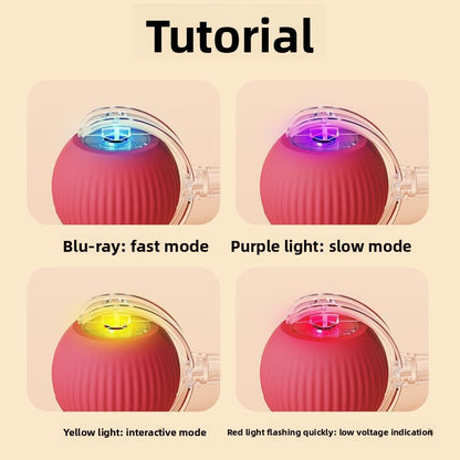 Cat teaser toy ball