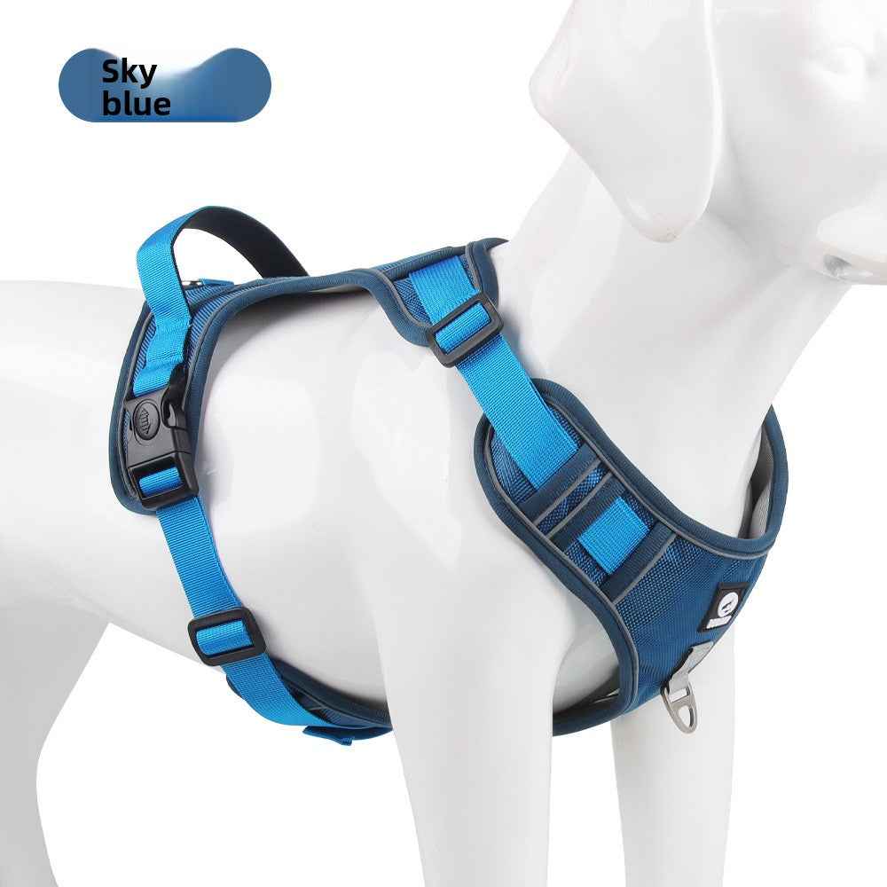 Pet Leash