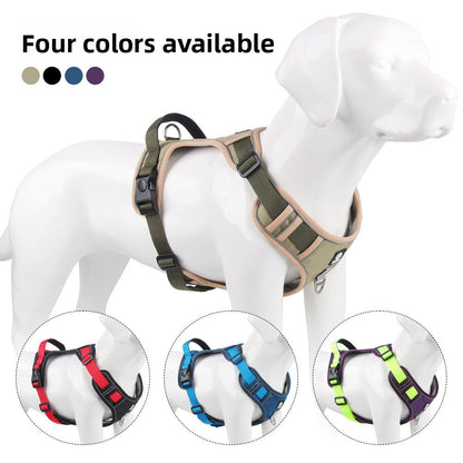 Pet Leash