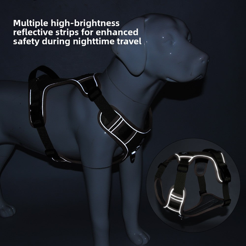 Pet Leash