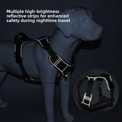 Pet Leash