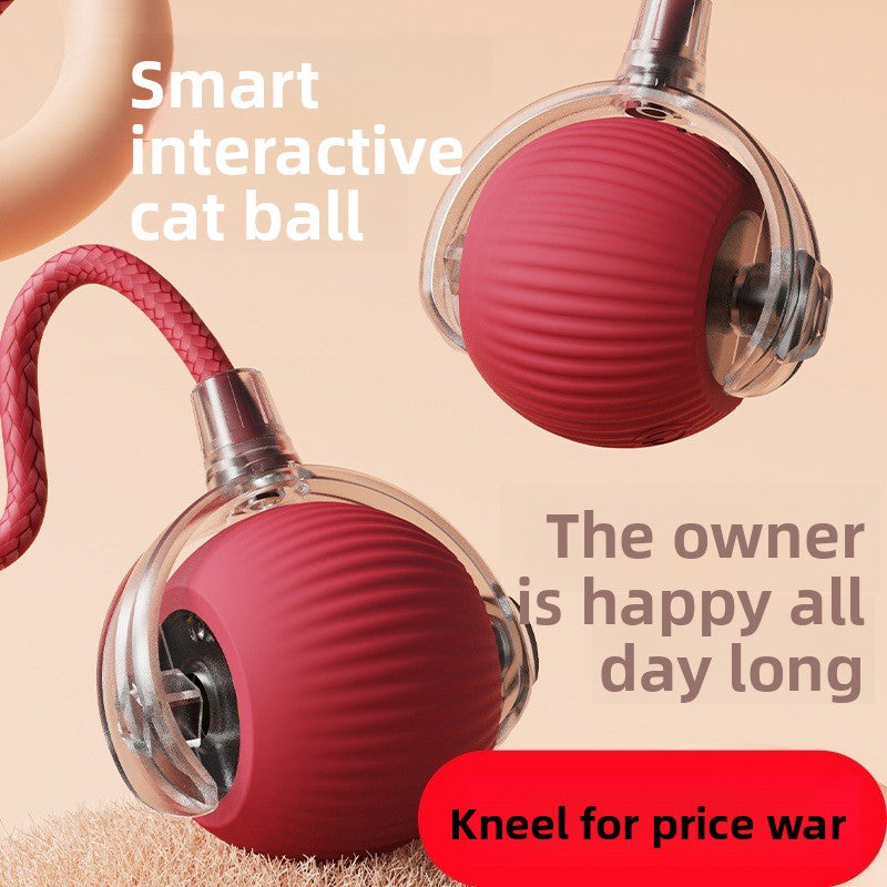 Cat teaser toy ball