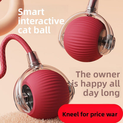 Cat teaser toy ball