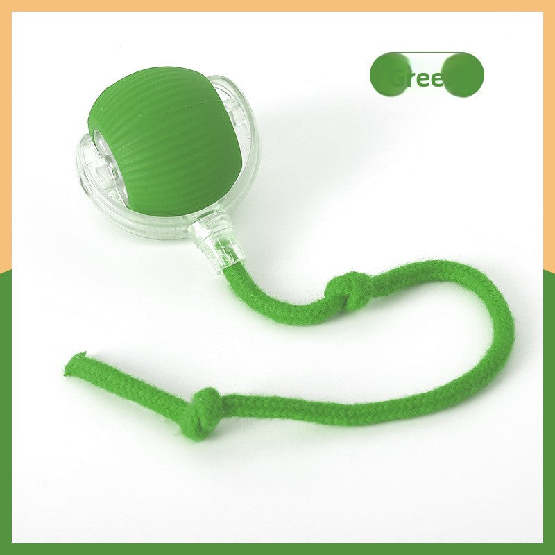 Cat teaser toy ball