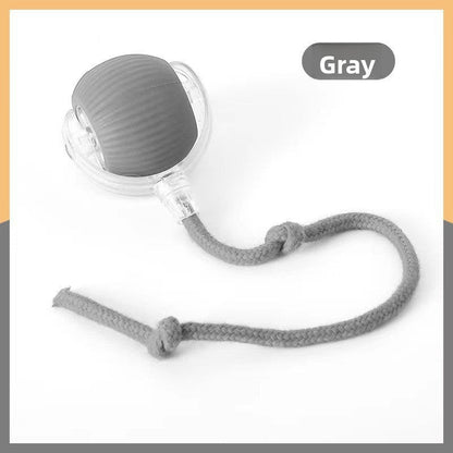 Cat teaser toy ball