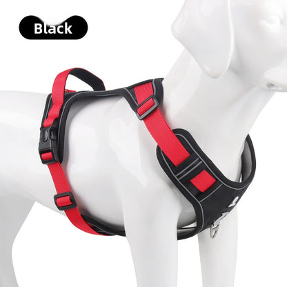 Pet Leash