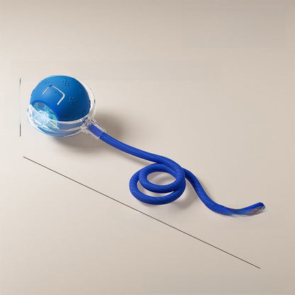 Cat teaser toy ball